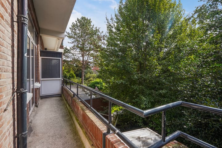 Foto 15 van Laan van Meerdervoort 1264