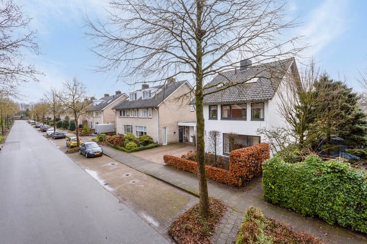 Foto 49 van Buizerdlaan 2