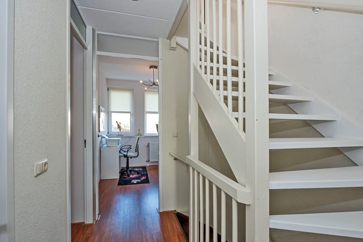 Foto 11 van Dovenetel 12