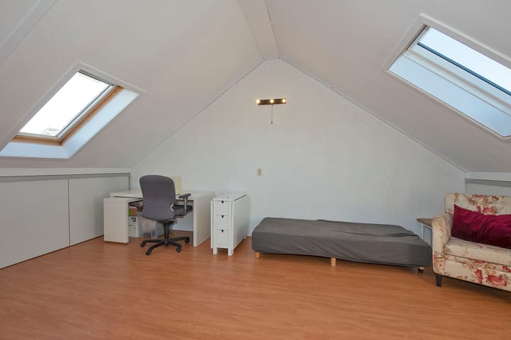 Foto 21 van Dovenetel 12