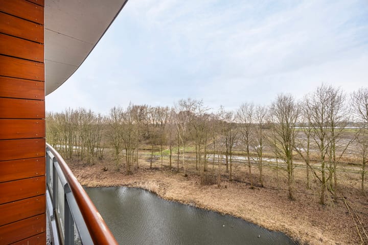 Foto 14 van Madeliefberg 90