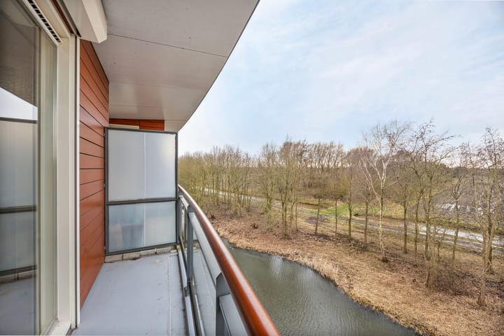 Foto 15 van Madeliefberg 90