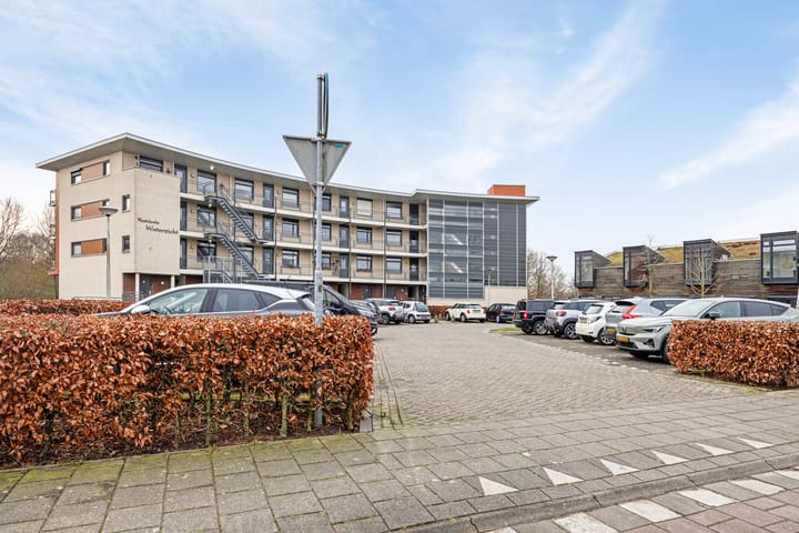 Foto 27 van Madeliefberg 90