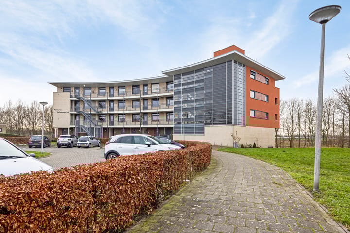 Foto 28 van Madeliefberg 90