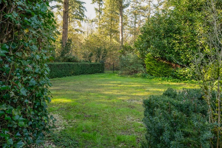 Foto 88 van Hoolweg 1