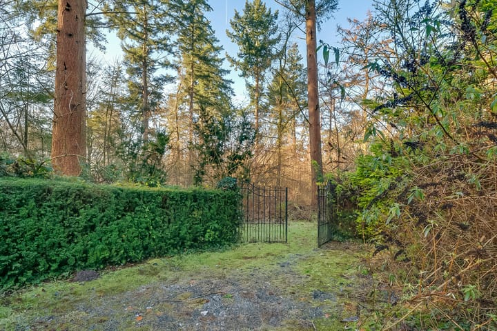 Foto 89 van Hoolweg 1