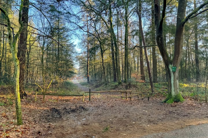 Foto 97 van Hoolweg 1