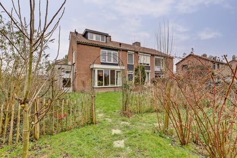 undefined main image