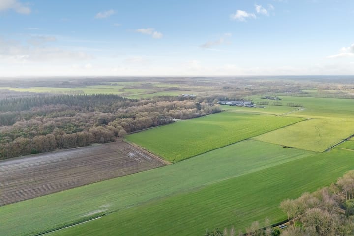 Photo 6 of Anholt 11-37