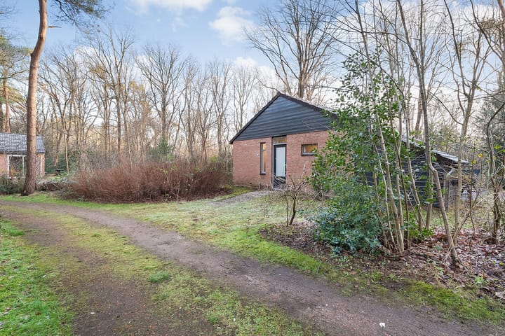 Photo 10 of Anholt 11-37