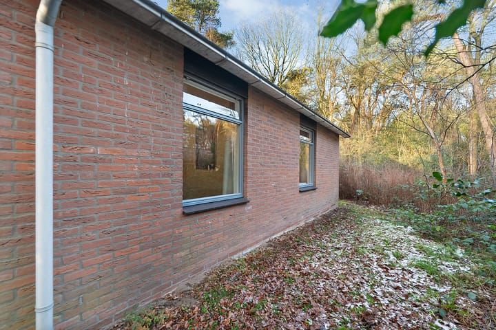 Photo 29 of Anholt 11-37