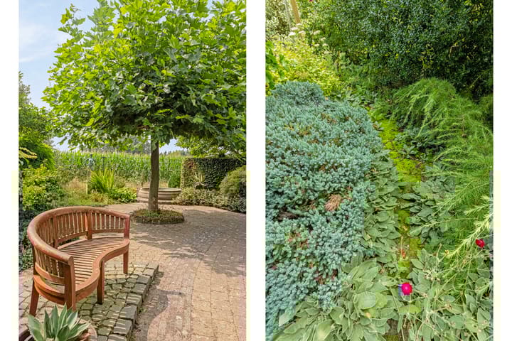 Photo 33 of Hoogveld 9