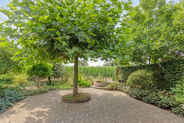 Photo 32 of Hoogveld 9