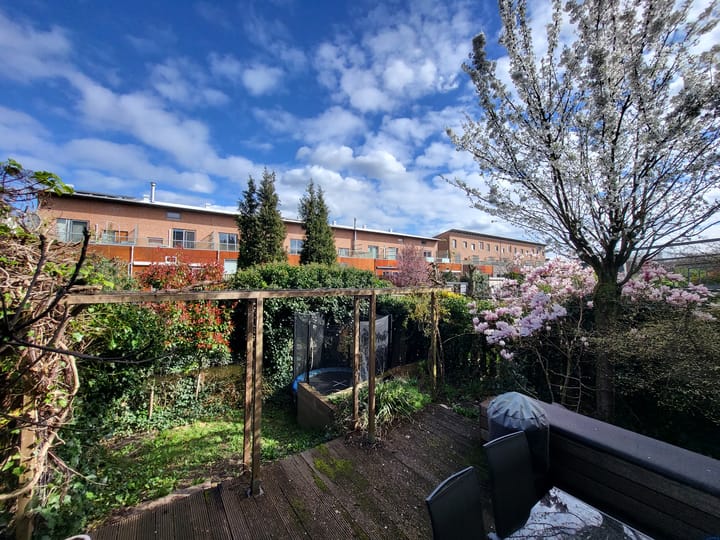 Foto 32 van Zus Braunstraat 10