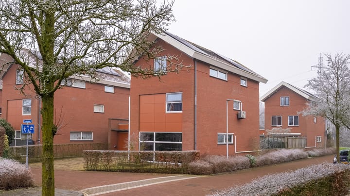 Foto 2 van Tuinvaas 1