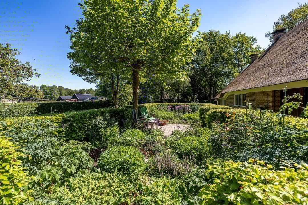 Foto 38 van Dorpsweg 6