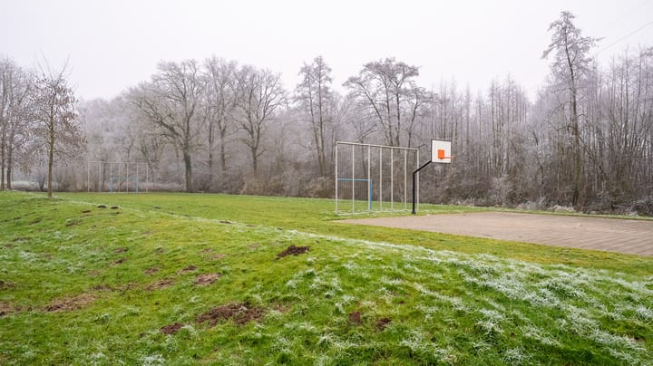 Foto 40 van Tuinvaas 1