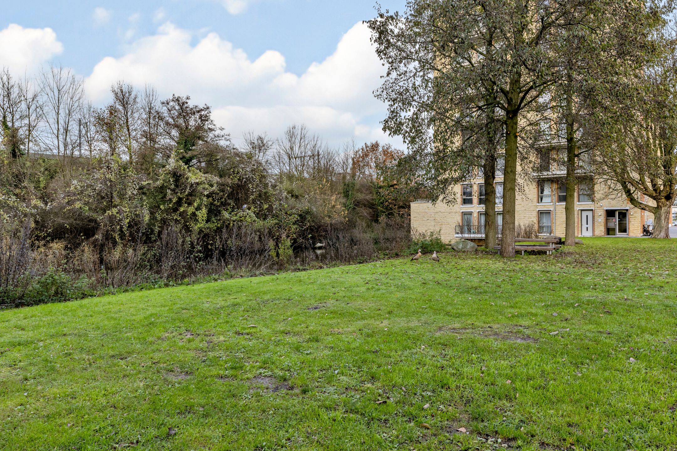 Foto 27 van Leeuwendalersweg 89