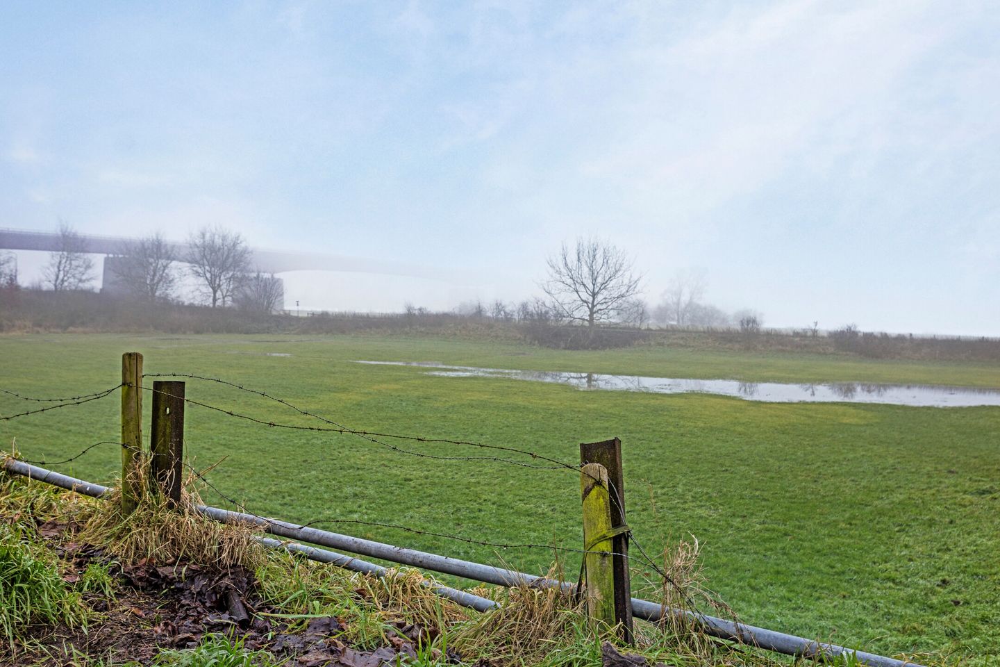 Photo 40 of Burgemeester Schimmelpenninckstraat 10