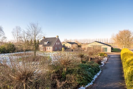 undefined main image