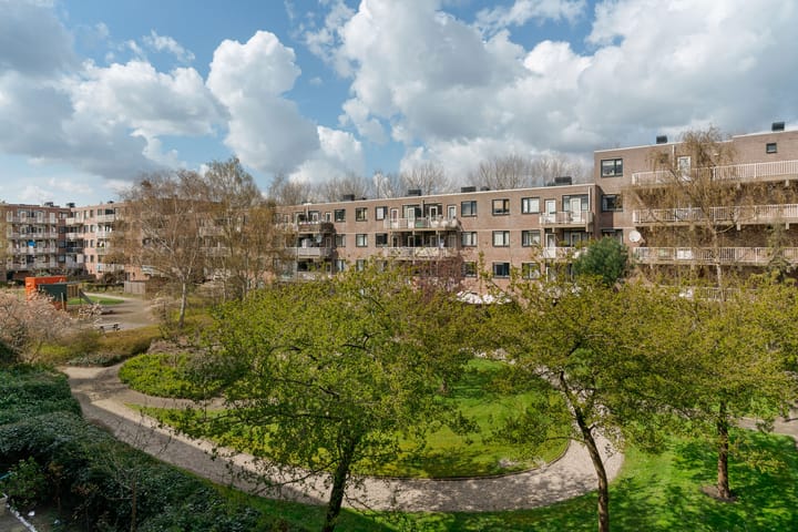 Foto 41 van Obiplein 41