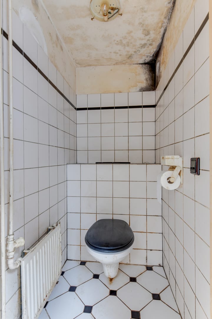 Foto 12 van Vogelezang 10