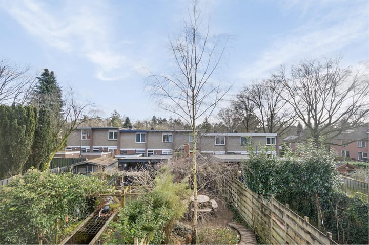 Foto 20 van Piet Heinlaan 128