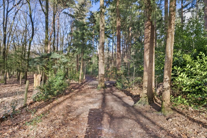 Foto 24 van Piet Heinlaan 128