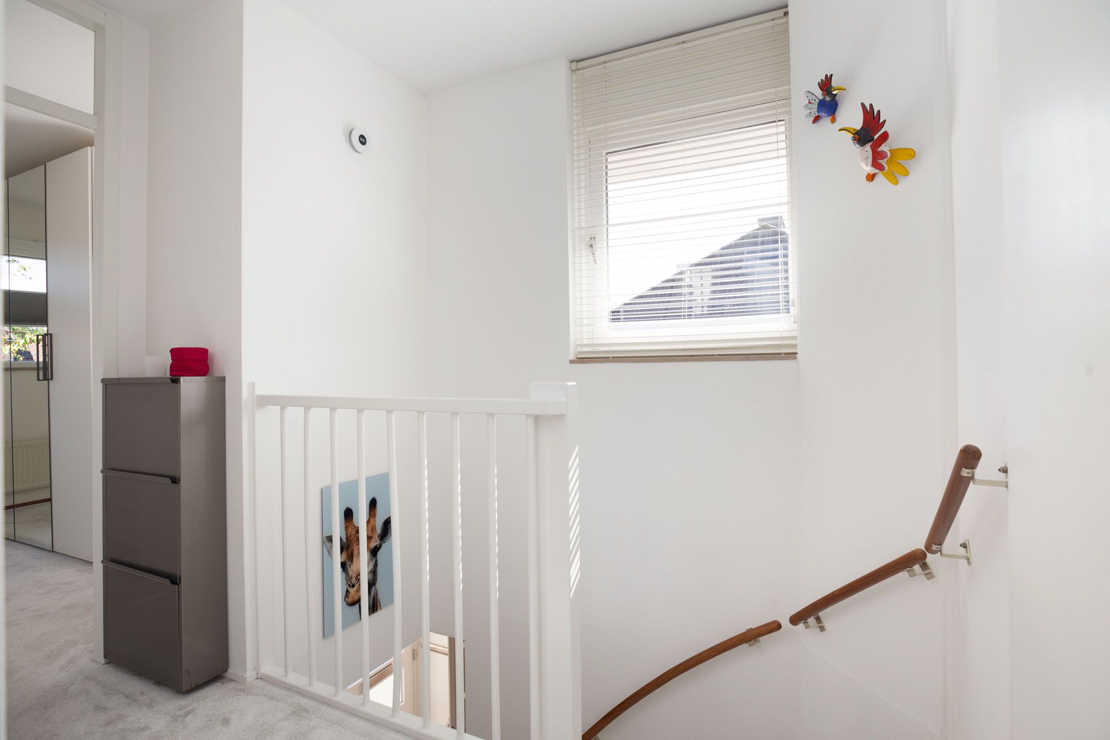 Foto 27 van Rietgors 47