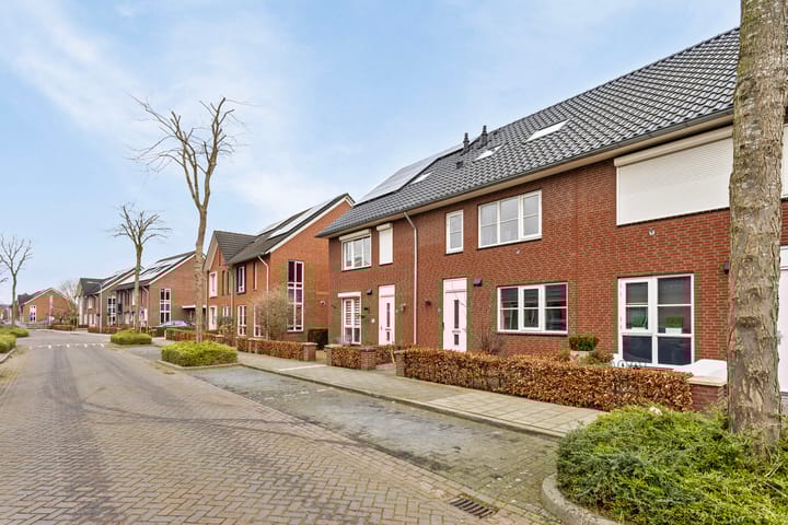 Foto 3 van Solidus 72