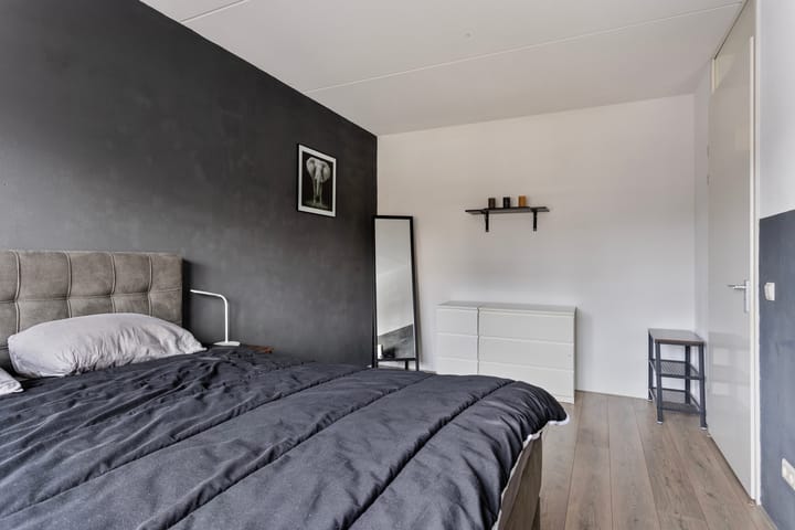 Foto 15 van Solidus 72