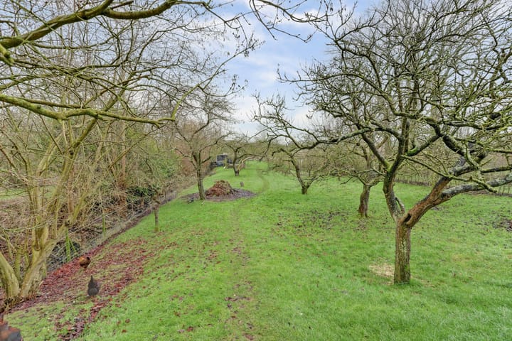 Foto 10 van Lingedijk 86