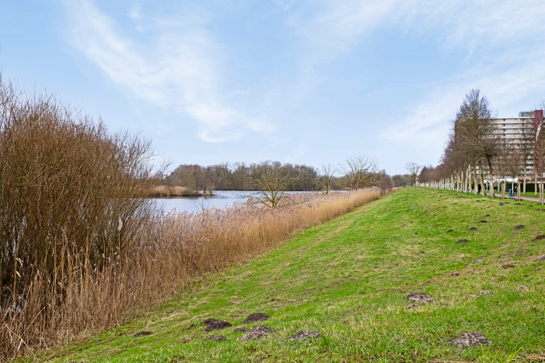 Photo 23 of Senecalaan 114