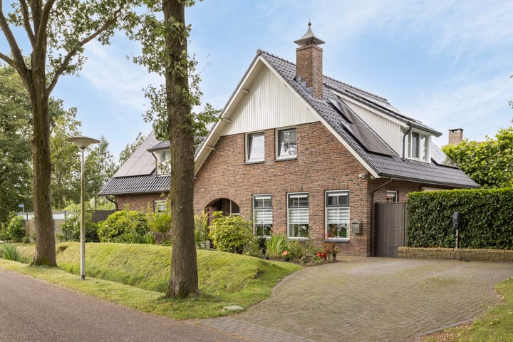 Foto 6 van Vuurvlinder 1