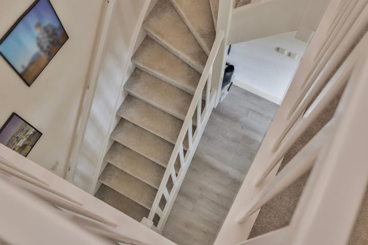 Foto 28 van Vuurvlinder 1