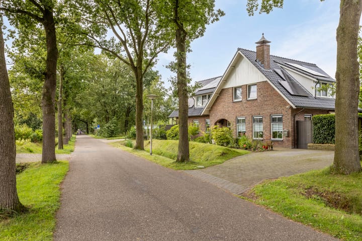 Foto 51 van Vuurvlinder 1