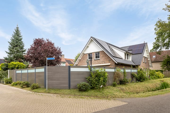 Foto 54 van Vuurvlinder 1