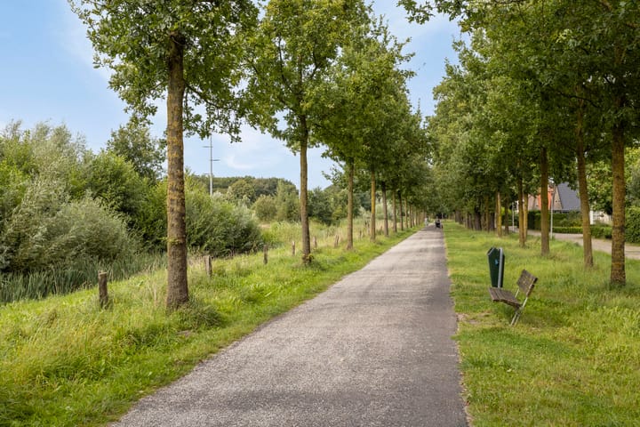 Foto 55 van Vuurvlinder 1