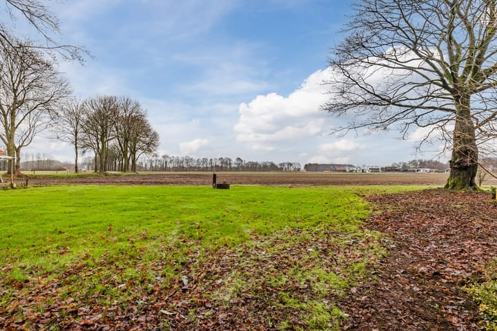 Foto 38 van Lieving 1