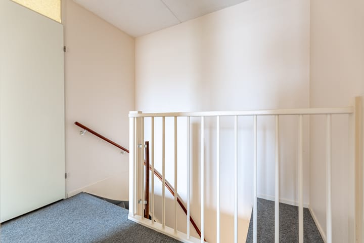 Foto 29 van It Fintsje 19