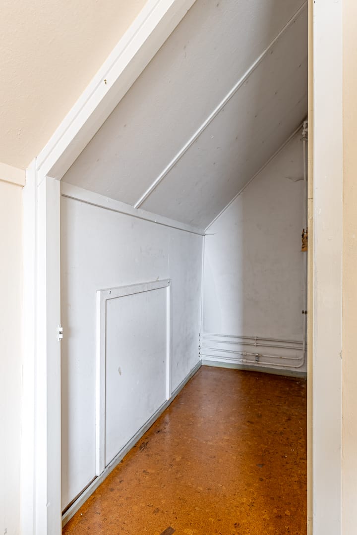 Foto 35 van It Fintsje 19