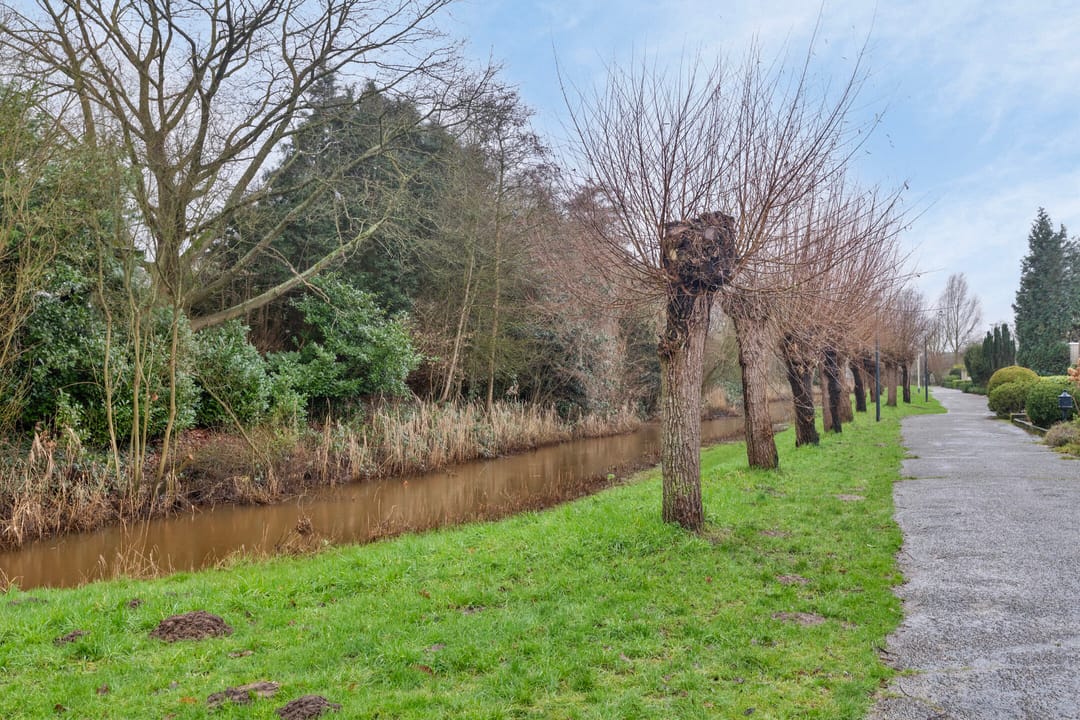 Foto 41 van Weilustlaan 101