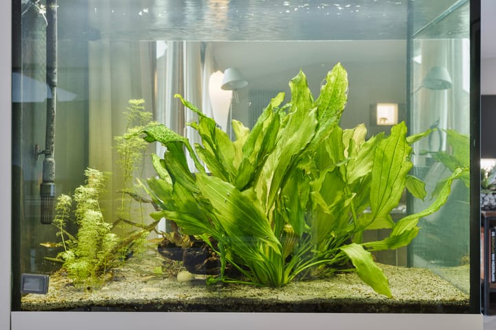 Foto 24 van Bordeslaan 207