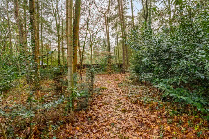 Foto 44 van Parkweg 19