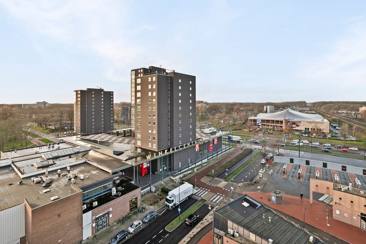 Foto 23 van Zwanenveld 8368