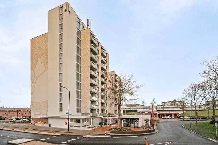 Foto 24 van Zwanenveld 8368