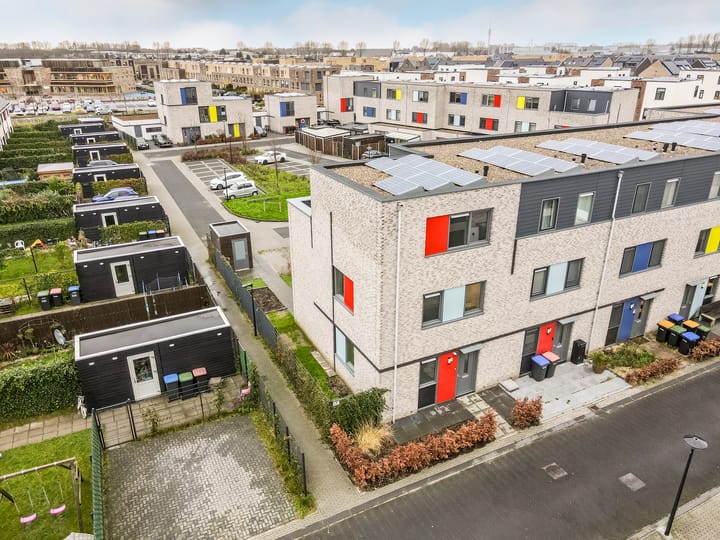 Foto 1 van Gentiaan 1