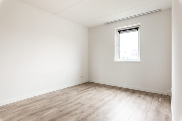 Foto 15 van Gentiaan 1