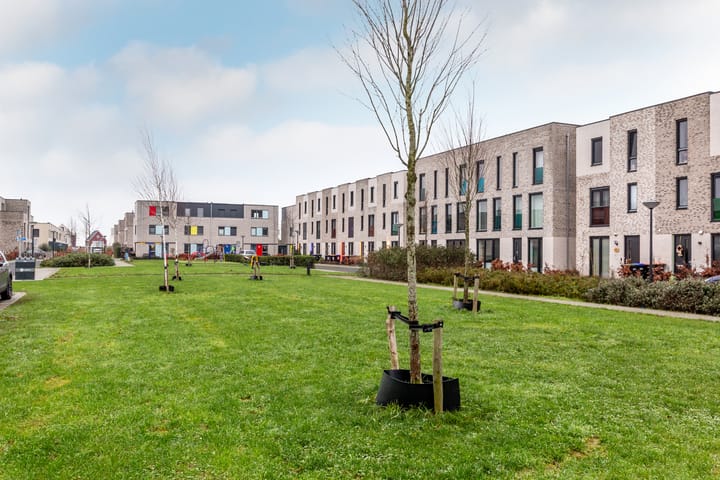 Foto 26 van Gentiaan 1