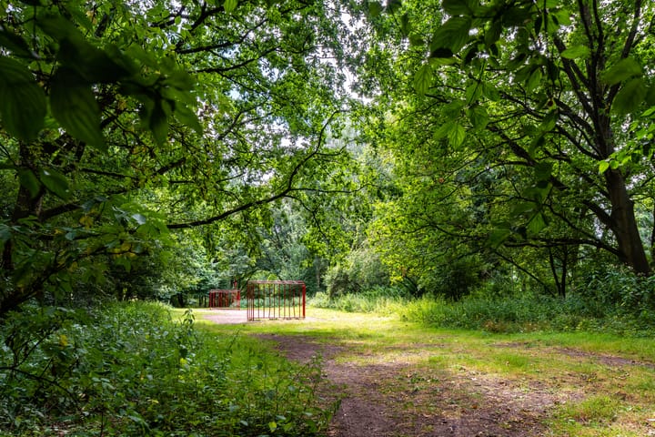 Foto 40 van Orteliusstraat 252-1